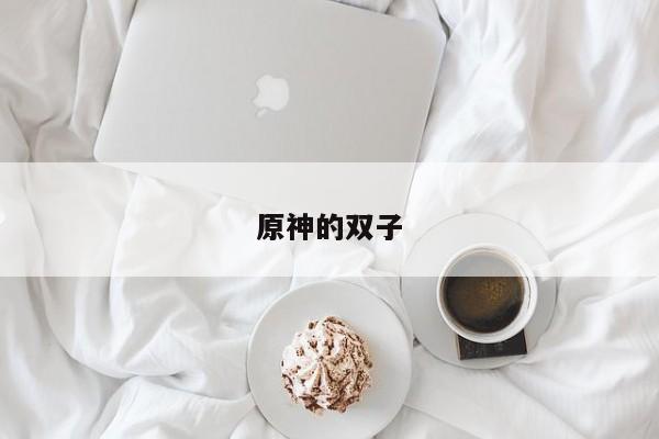 原神的双子