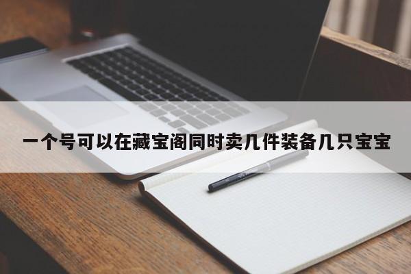 一个号可以在藏宝阁同时卖几件装备几只宝宝