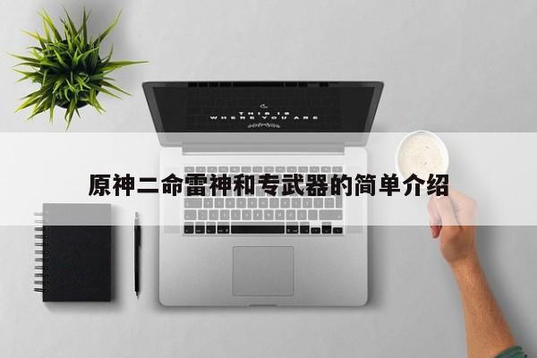 原神二命雷神和专武器的简单介绍