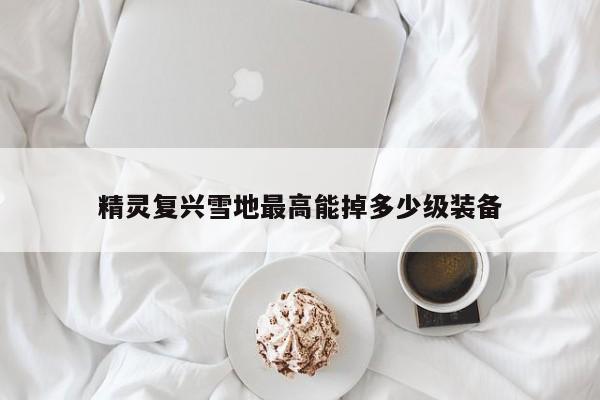 精灵复兴雪地最高能掉多少级装备