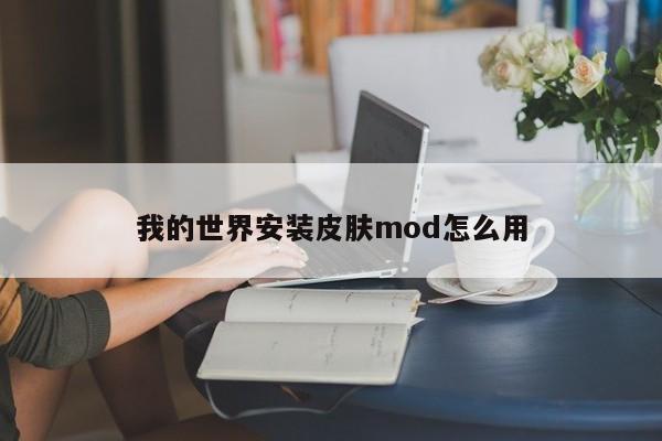 我的世界安装皮肤mod怎么用