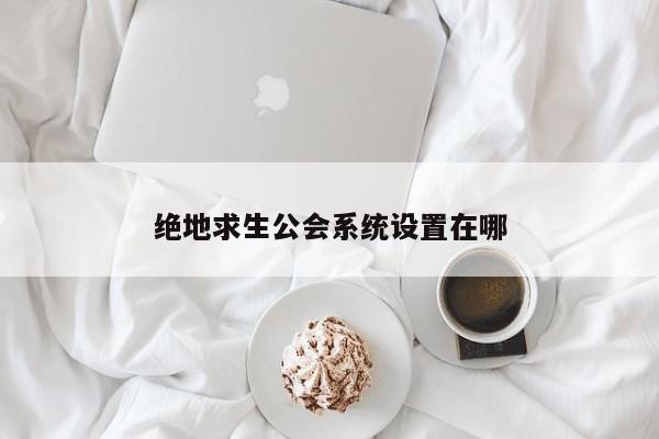 绝地求生公会系统设置在哪