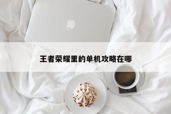王者荣耀里的单机攻略在哪