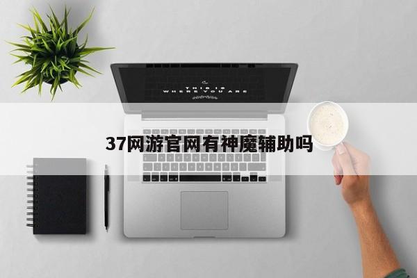37网游官网有神魔辅助吗