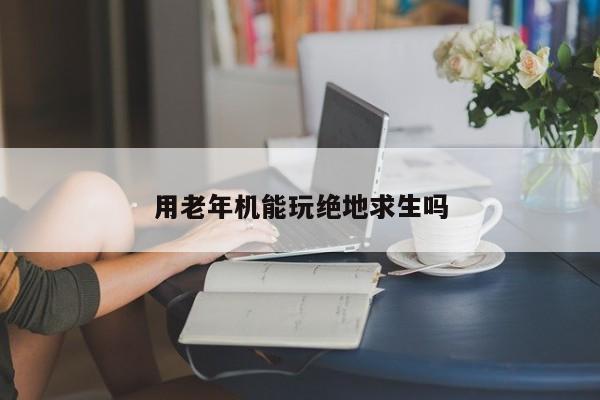 用老年机能玩绝地求生吗