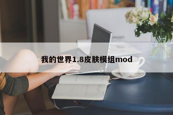 我的世界1.8皮肤模组mod