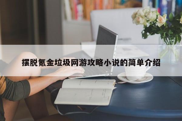 摆脱氪金垃圾网游攻略小说的简单介绍