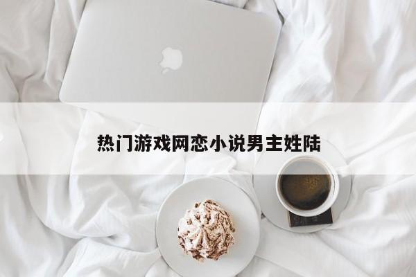 热门游戏网恋小说男主姓陆