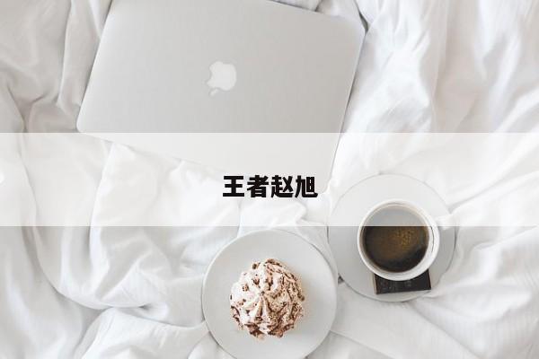 王者赵旭
