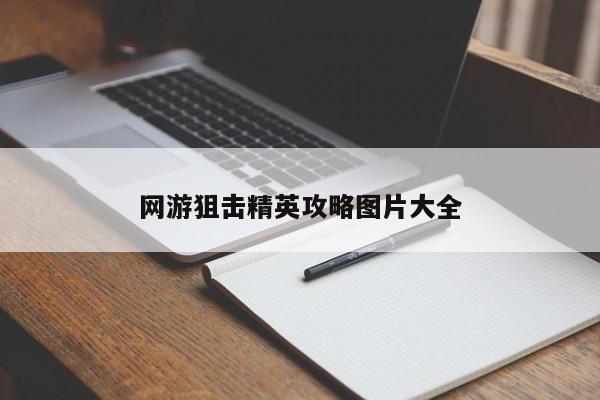 网游狙击精英攻略图片大全