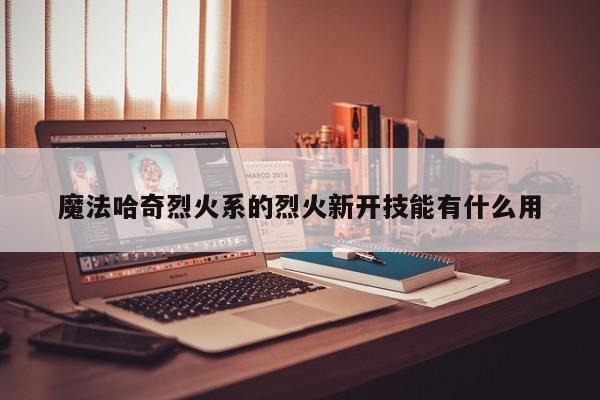 魔法哈奇烈火系的烈火新开技能有什么用