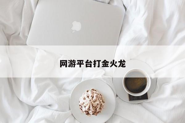 网游平台打金火龙