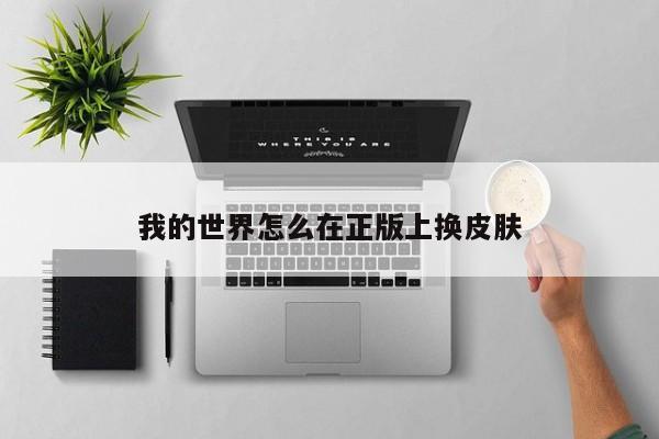 我的世界怎么在正版上换皮肤