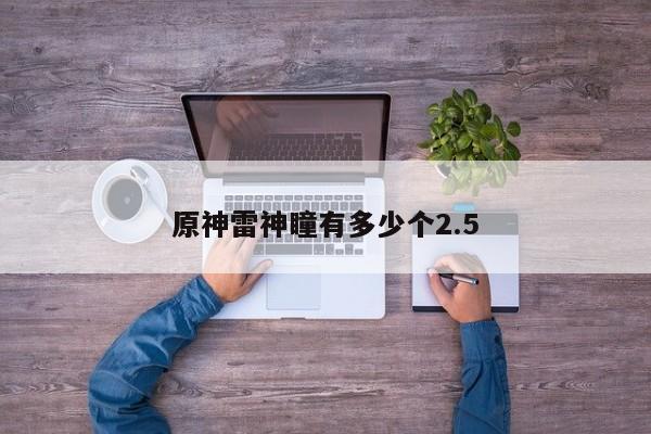 原神雷神瞳有多少个2.5