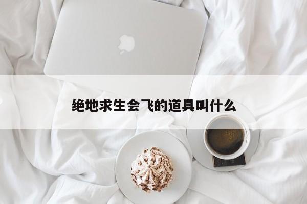 绝地求生会飞的道具叫什么