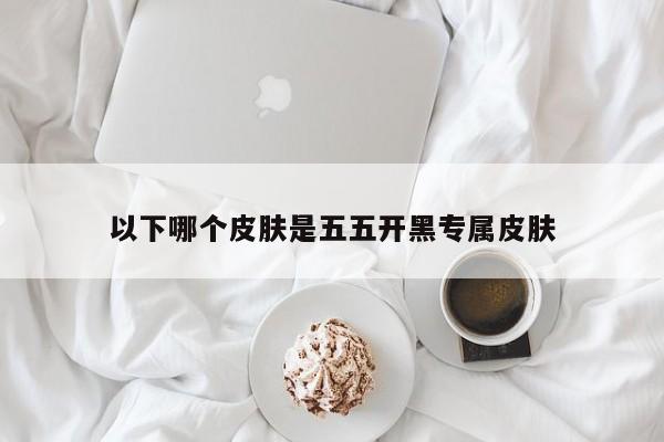 以下哪个皮肤是五五开黑专属皮肤