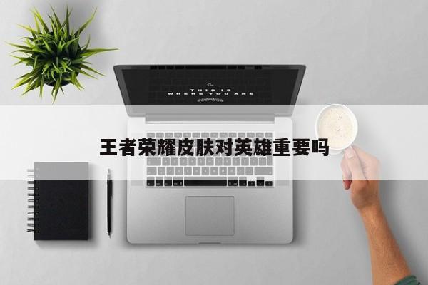 王者荣耀皮肤对英雄重要吗