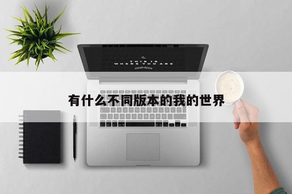 有什么不同版本的我的世界