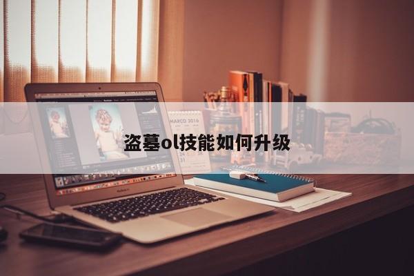 盗墓ol技能如何升级