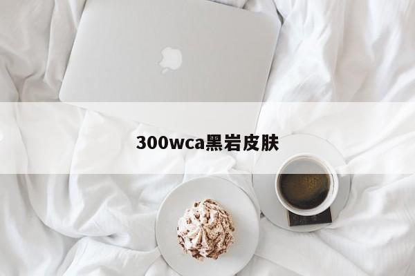 300wca黑岩皮肤