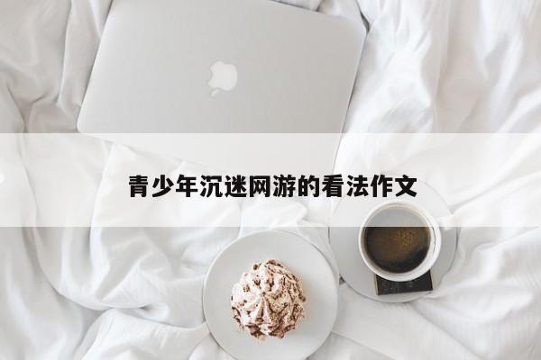 青少年沉迷网游的看法作文