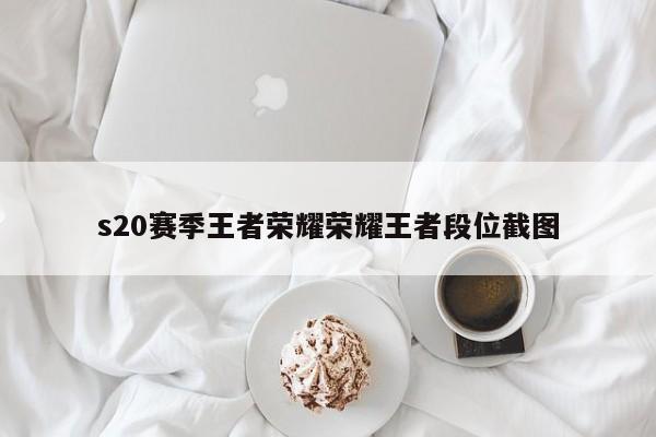 s20赛季王者荣耀荣耀王者段位截图